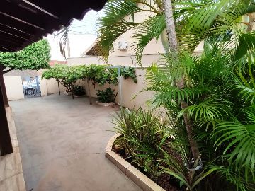 Jardim