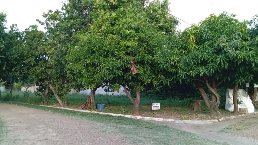 Terreno em Condomnio - Venda - Altos do Tiet - Borborema - SP